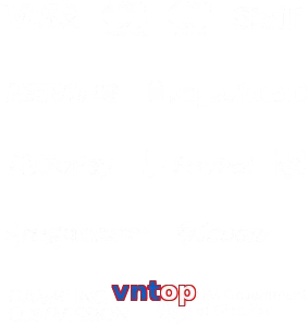 vntop